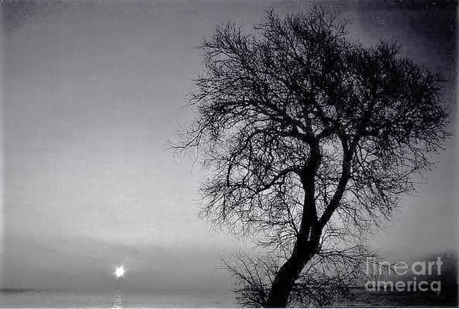 Black And White Photograph - Lakeside Sunset Silhouette  Lake Superior Minnesota        Spring by Rory Cubel