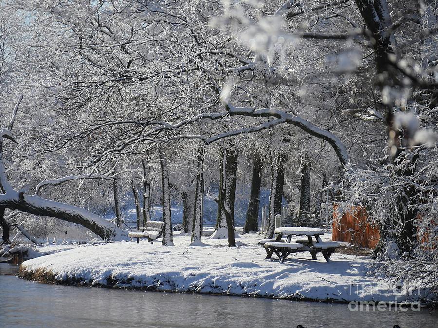 Lakeside Winter  Photograph by On da Raks