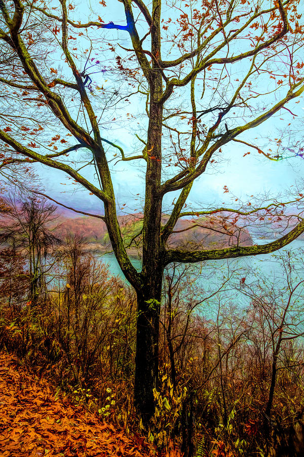 Fall Photograph - Lakeview Overlook by Debra and Dave Vanderlaan