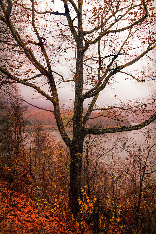 Fall Photograph - Lakeview Overlook in Autumn by Debra and Dave Vanderlaan