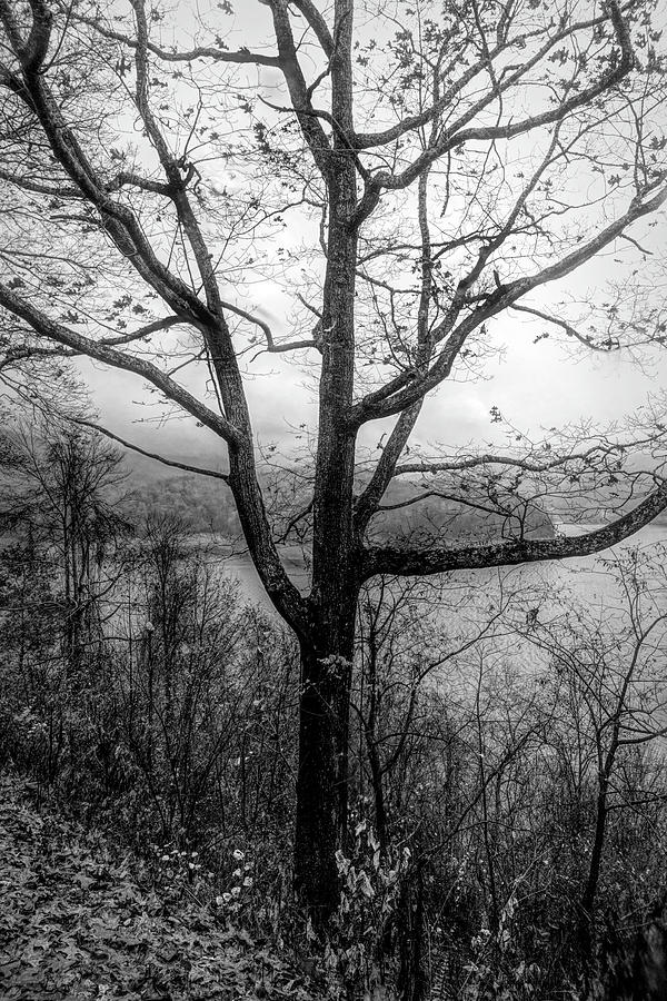 Fall Photograph - Lakeview Overlook in Black and White  by Debra and Dave Vanderlaan