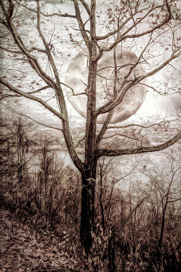 Fall Photograph - Lakeview Under the Full Moon in Vintage Sepia by Debra and Dave Vanderlaan