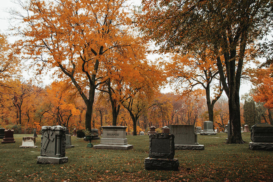 Lakewood Cemetery Minneapolis Photograph By Elizabeth Nemmers - Fine ...