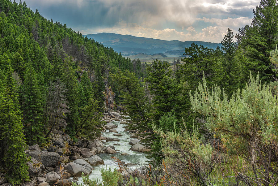 Lamar River Before Summer Storm Photograph by Yeates Photography