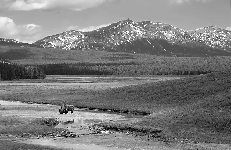 Lamar Valley Photograph by Steve Toole | Fine Art America