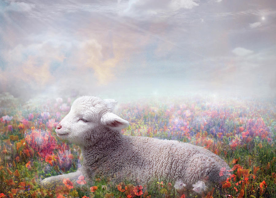Lamb of God Digital Art by Claudia McKinney