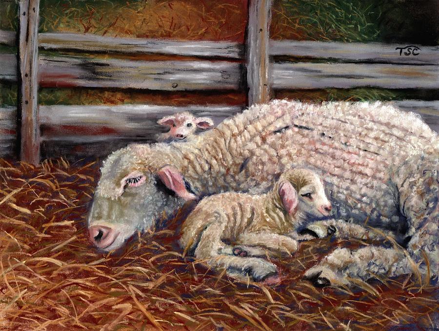 Lambing Time Painting by Tammy Crawford