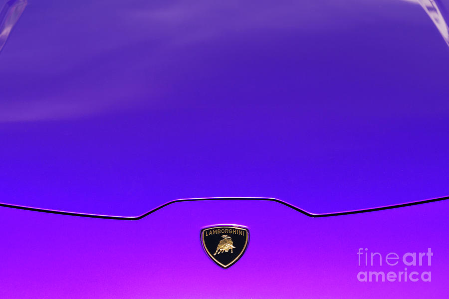Lamborghini Huracan in Purple Photograph by Tim Gainey