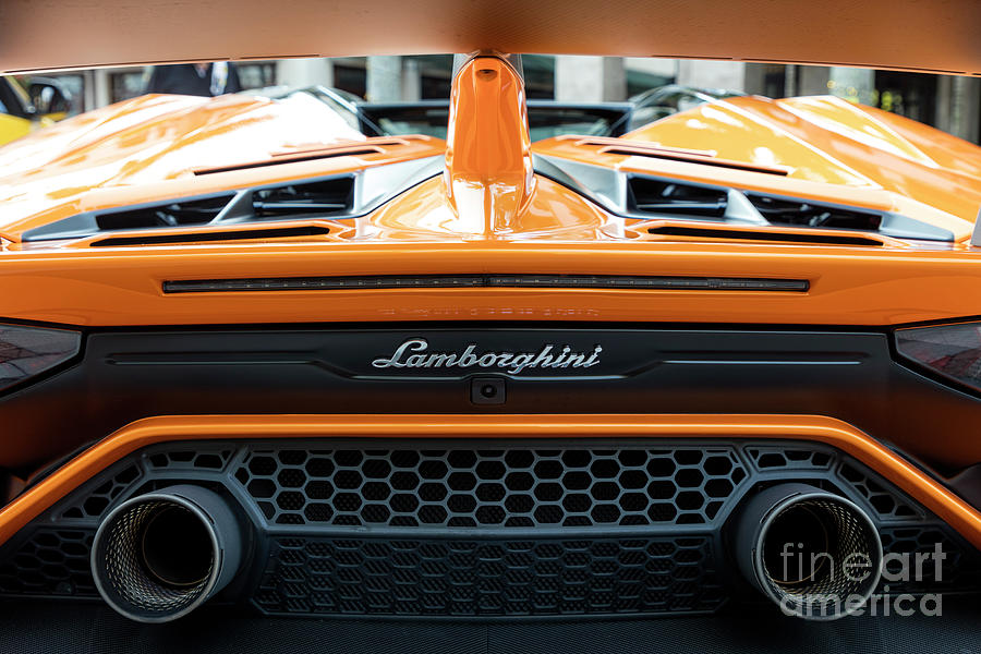 Lamborghini Tail Photograph by Brian Jannsen
