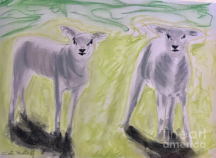 Lambs in the meadow Volume 2 Mixed Media by Ciet Friethoff