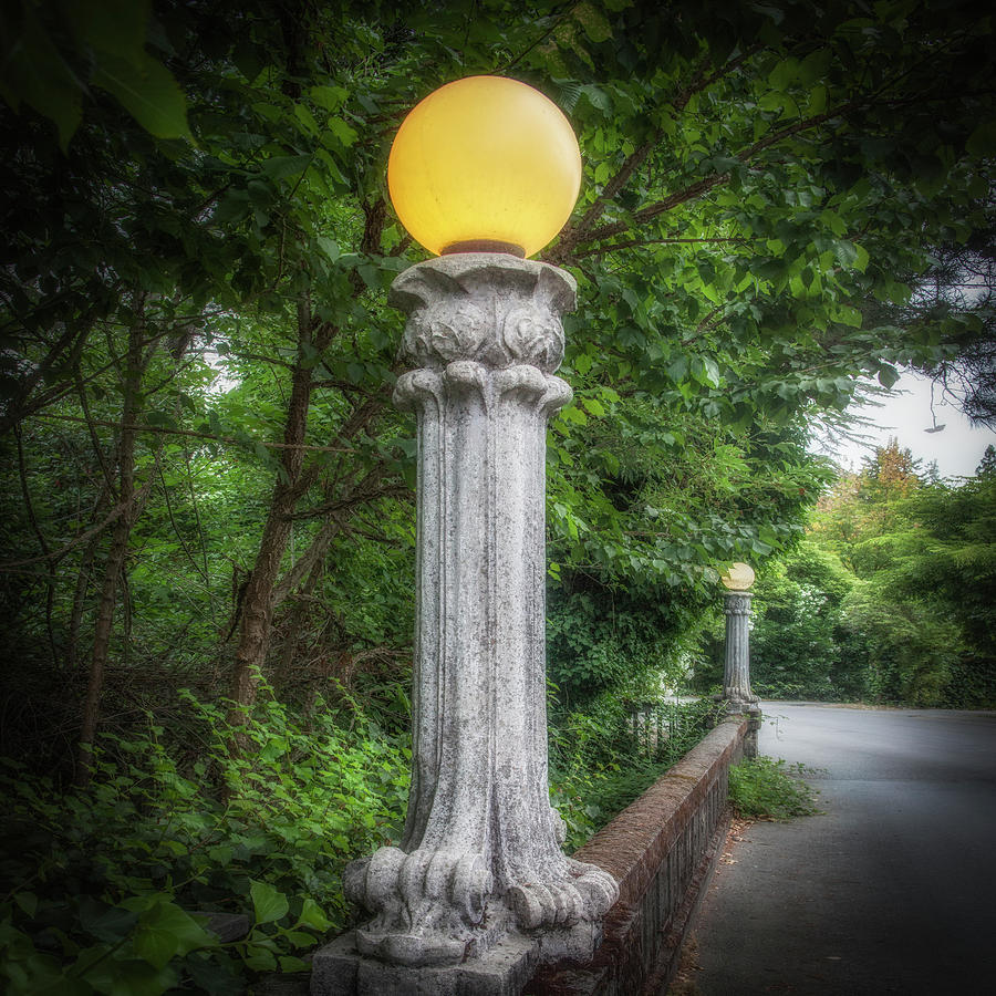 Lamp along Shady Lane, Ross Photograph by Donald Kinney