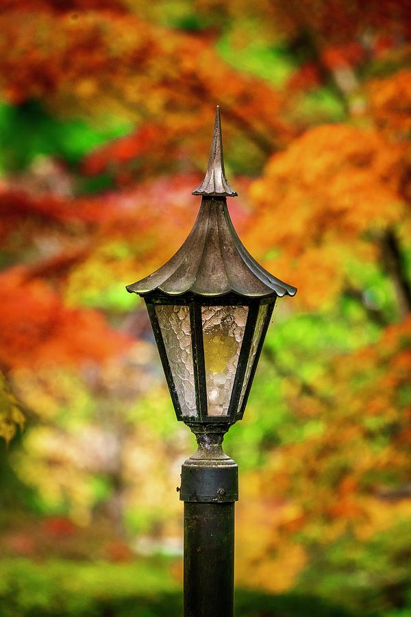 Lamp at the Garden Photograph by Tim Reagan - Fine Art America