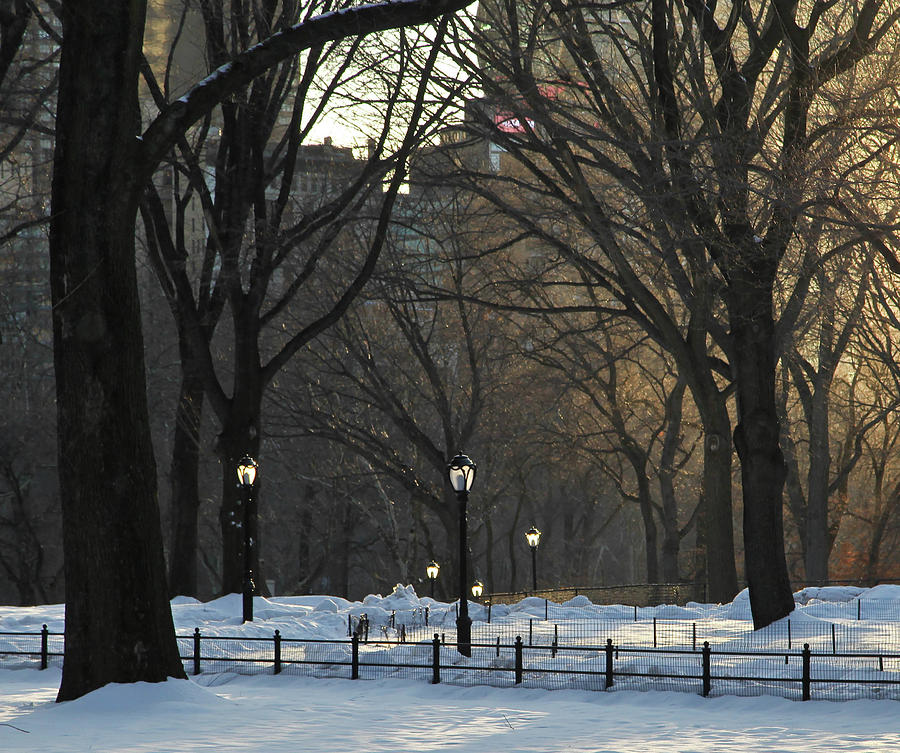 Lamp Glow, Central Park Photograph by David Brindley - Fine Art America