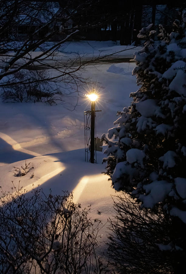 Lamp Light Sparkle Snow Photograph by Betty Pauwels