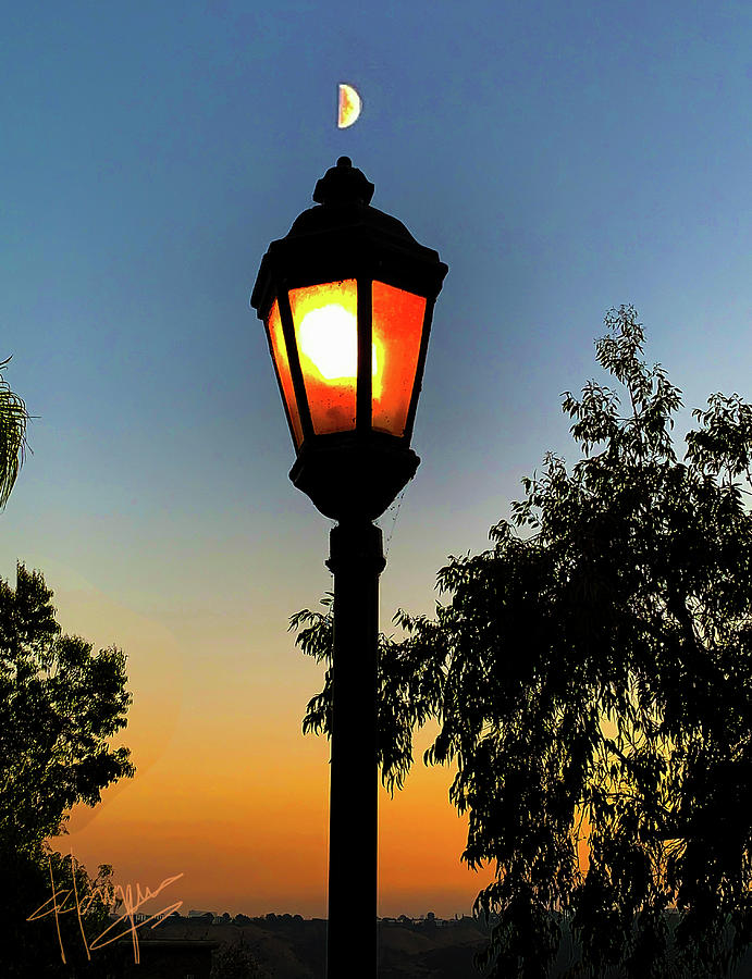 Lamppost And Moon Photograph by DC Langer