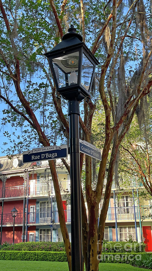 Lamppost at Port Orleans French Quarter Resort 7036 Photograph by Jack Schultz