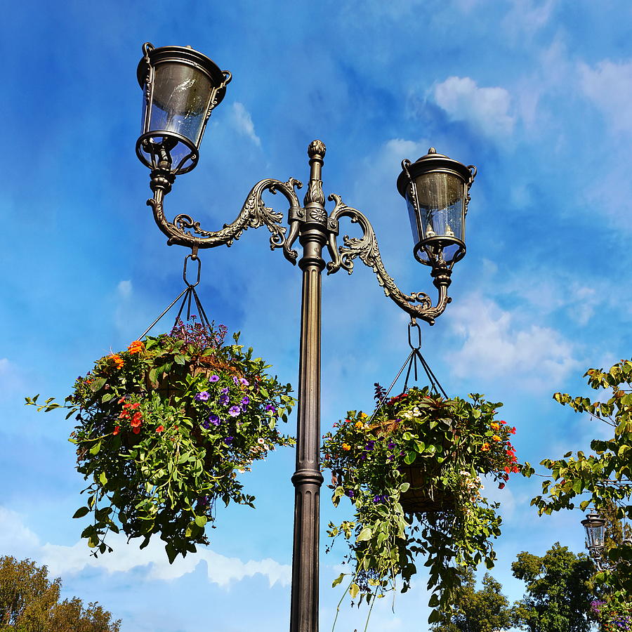 Lampposts and Flowers Photograph by Glenn McCarthy Art and Photography