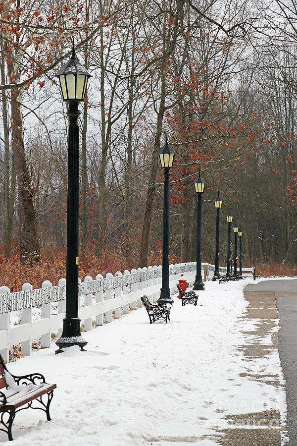 Lampposts and Winter Wildwood Metropark 9196 Photograph by Jack Schultz