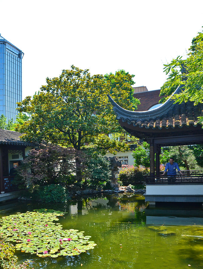 Lan Su Chinese Garden, Portland, Oregon-4 Photograph by Alex Vishnevsky