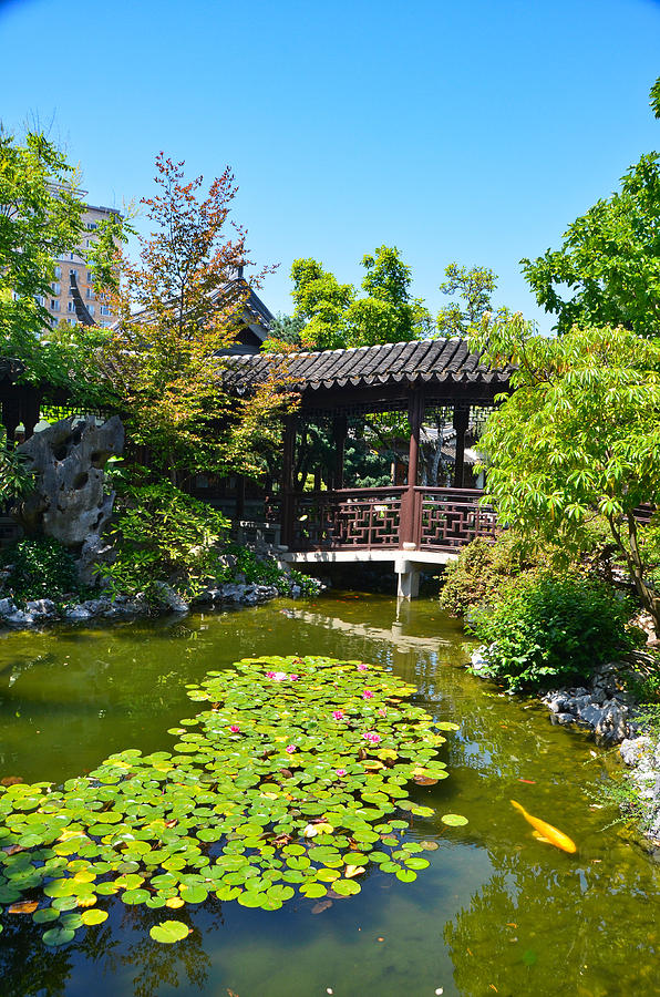 Lan Su Chinese Garden, Portland, Oregon-6 Photograph by Alex Vishnevsky