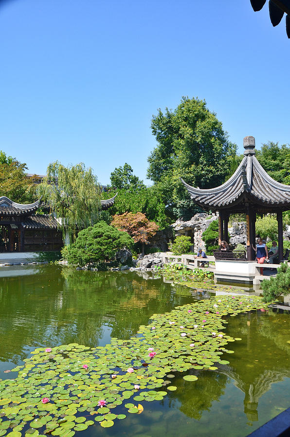 Lan Su Chinese Garden, Portland, Oregon-7 Photograph by Alex Vishnevsky