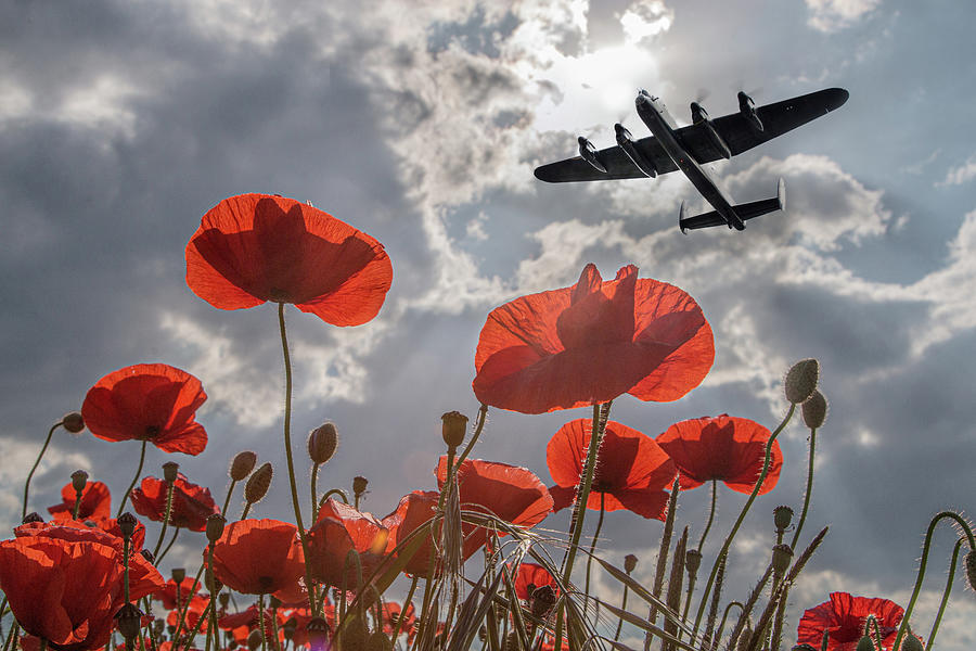 Lancaster Bomber Poppy Pass Digital Art by Airpower Art