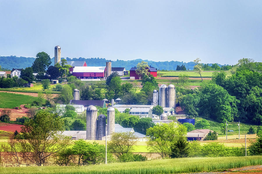 Lancaster County Farmland Photograph by Susan Rissi Tregoning