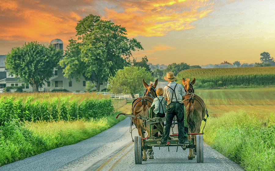 Lancaster County Photograph by Marcy Wielfaert