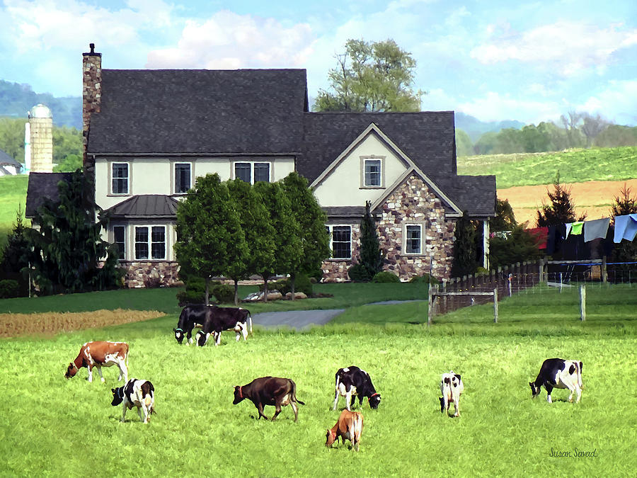 Lancaster PA - Family Farm With Cows in Pasture Photograph by Susan Savad