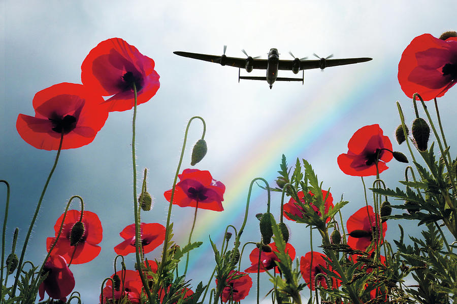 Lancaster Poppy Hero Digital Art by Airpower Art