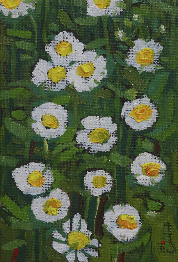 Lance-leaved Aster Painting by Phil Chadwick