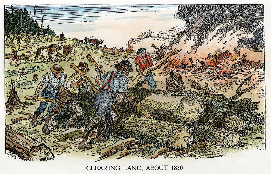 LAND CLEARING, c1830 Photograph by Granger