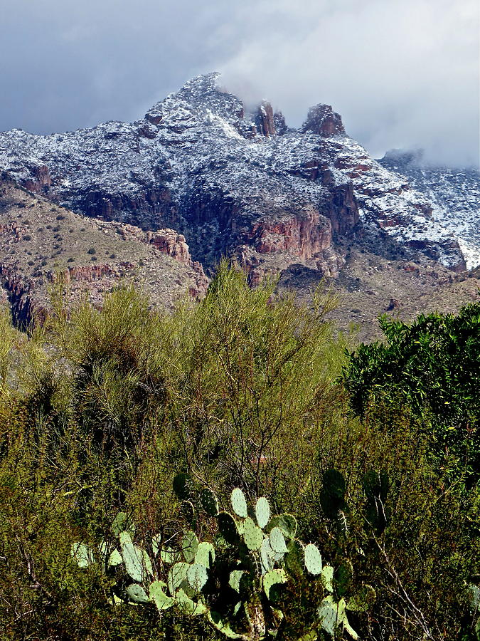 Land of Contrasts Photograph by Bonnie See