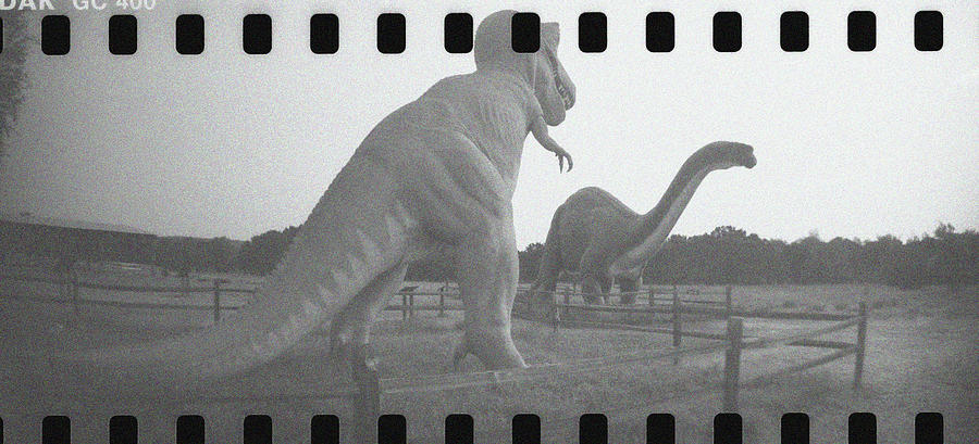 Land Of The Lost - Dinosaur Valley 02 - Bw Grain Photograph