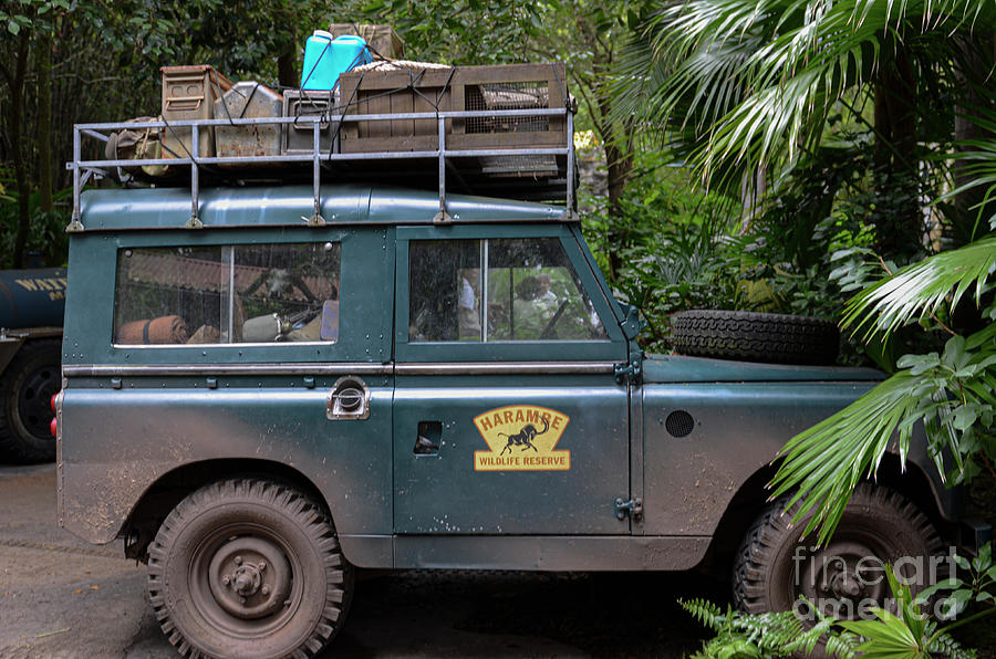 Land Rover on Safari - Wildlife Reserve  Photograph by Dale Powell