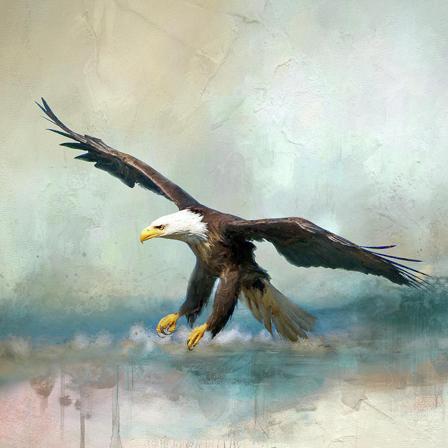 Landing Eagle Digital Art by Jeanette Mahoney