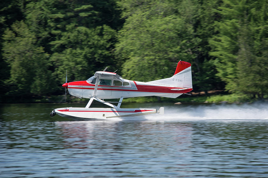 Landing on the Lake Photograph by Andrew Wilson