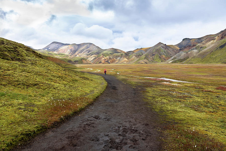 Landmannalaugar lonely walker Photograph by RicardMN Photography