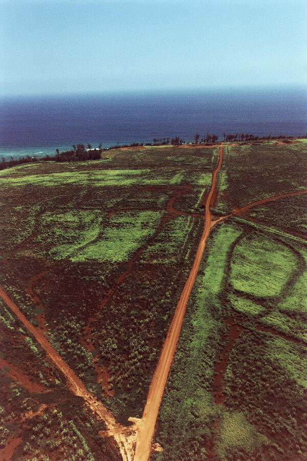 Lands, fields and tracks, Kauai, Hawaii, aerial view Photograph by Dex Image