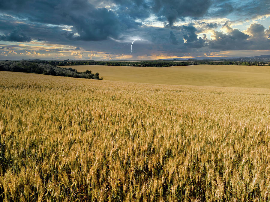 Nature Photograph - Landsacpe from wheat field by Ferenc PERESZLENYI