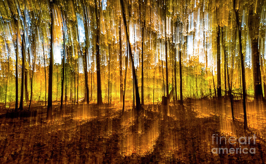 Landscape Abstract Wall Art Autumn Forest Spirits TR10353 Photograph by Mark Graf