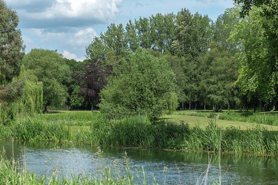 Landscape along the River Wensum Photograph by Dawn Cavalieri