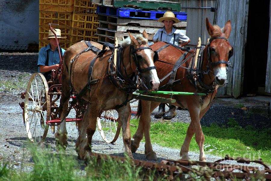 Landscape_ Americana_Amish Country Tour_IMGL2012 Photograph by Randy Matthews