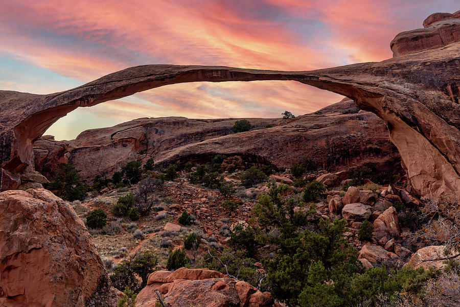 Landscape Arch at Arches National Park Photograph by Ed Clark