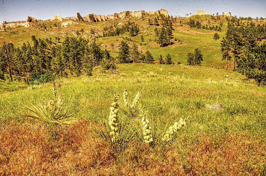 Landscape At Fort Robinson Photograph