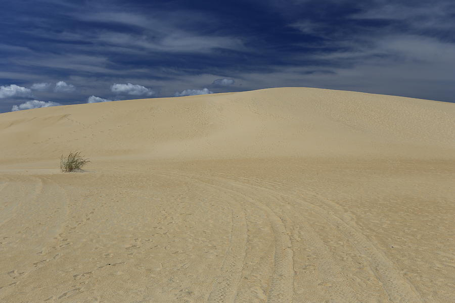 Landscape at Jockey's Ridge State Park, Kitty Hawk, North Carolina ...