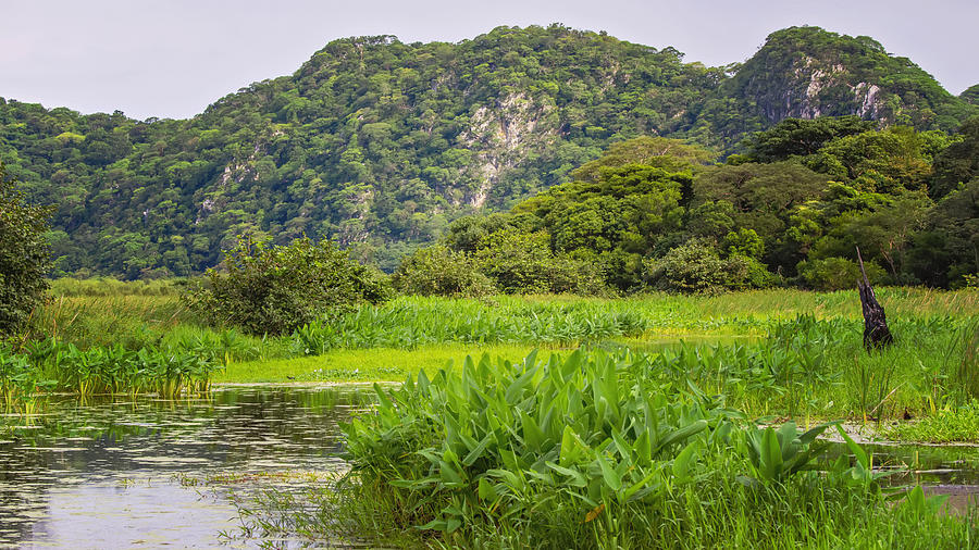 Landscape at Palo Verde National Park, Costa Rica Photograph by Kryssia Campos