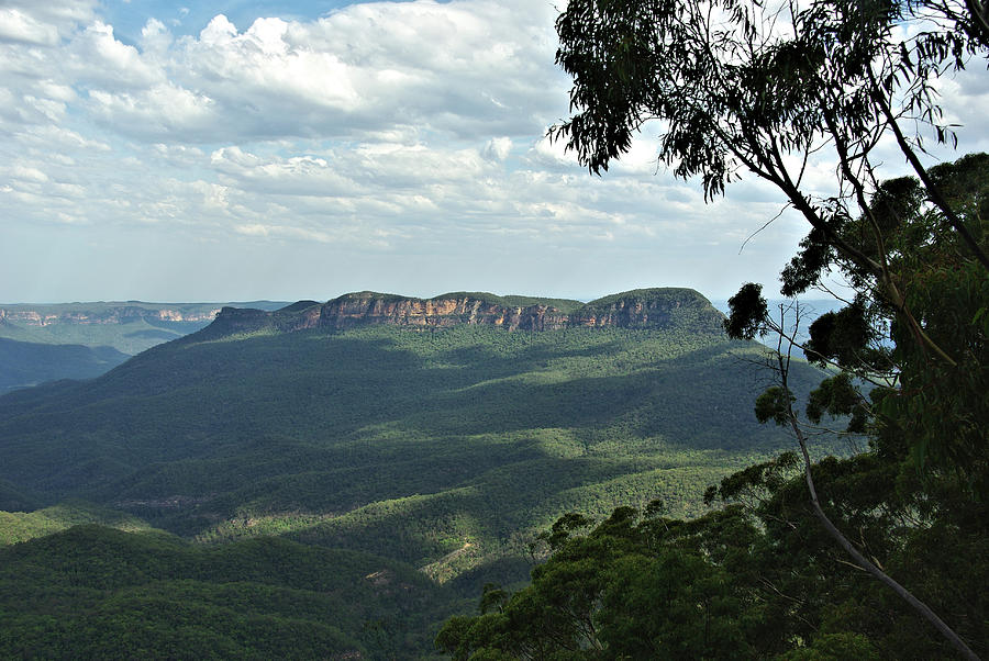 Landscape Blue Mountains Photograph by Alison A Murphy