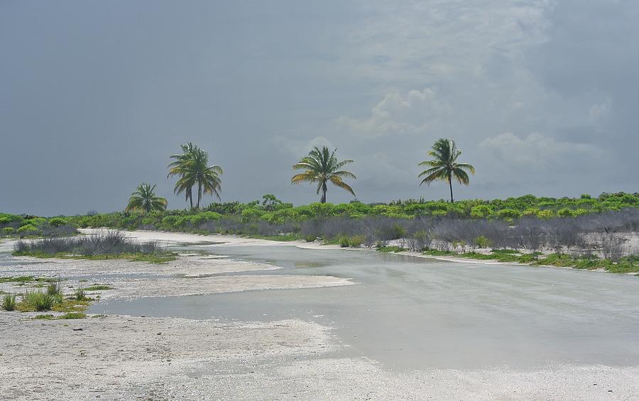 landscape Christmas Island Kiribati Photograph by Kees Dekker - Fine ...