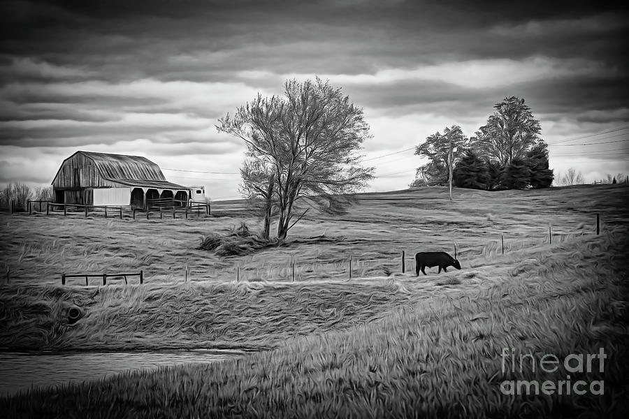 Landscape Farm Cow Barn Trees Black White  Photograph by Chuck Kuhn